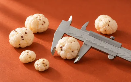 A steel vernier caliper measuring one makhana seed, with five graded seeds beside it